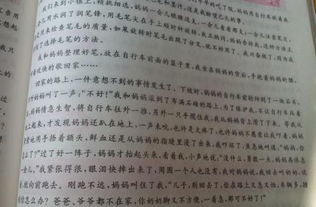 寫(xiě)一段關(guān)于父母的愛(ài)的作文開(kāi)頭結尾怎么寫(xiě)