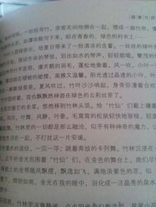 表演場(chǎng)面的描寫(xiě)作文600字作文開(kāi)頭