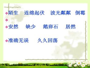 難忘的一處地方(難忘的一處地方作文)