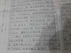 發(fā)現什么的作文600字作文開(kāi)頭