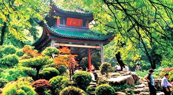 關(guān)于岳麓山的作文開(kāi)頭