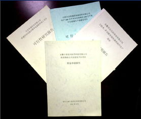 鄉鎮文化資金申請報告(鄉鎮文化資金申請報告)