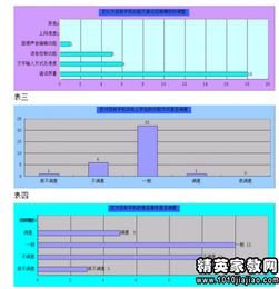 大學(xué)生手機使用情況調查報告(情況大學(xué)生手機使用調查報告)
