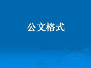 公文決定范文(決定公文的格式)