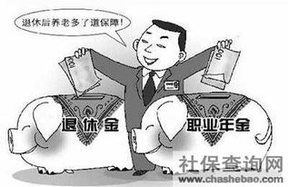 補充養老保險(補充養老保險)