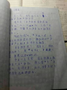 描寫(xiě)父母愛(ài)的作文開(kāi)頭
