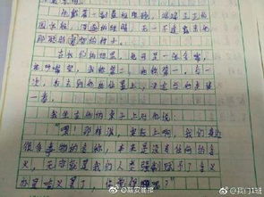 時(shí)至今日你依然是我的光作文開(kāi)頭