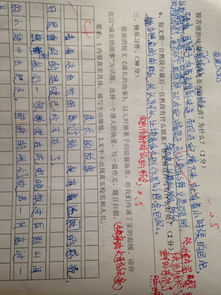 關(guān)心父母作文開(kāi)頭