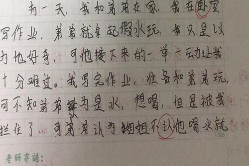 第一次流淚的作文開(kāi)頭結尾