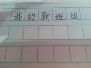 我和新班級的作文開(kāi)頭