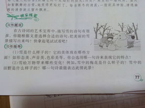 關(guān)于描寫(xiě)雪的開(kāi)頭作文