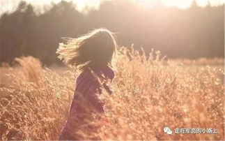 作文,不期而遇,開(kāi)頭,珍惜