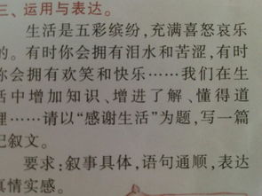寫(xiě)感恩作文怎么開(kāi)頭