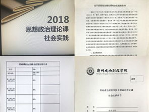 思政課教學(xué)實(shí)踐報告(思政實(shí)踐報告)