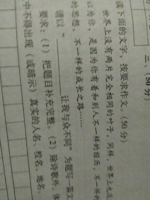 與眾不同的她作文500字作文開(kāi)頭