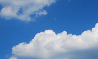 我變成了白云作文開(kāi)頭