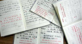 作文寫(xiě)執著(zhù)的開(kāi)頭結尾