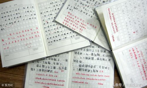 一級作文開(kāi)頭結尾