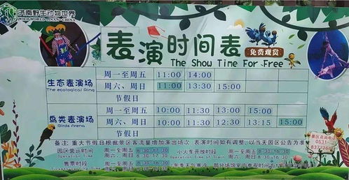 關(guān)于奇妙的旅行的作文開(kāi)頭