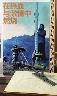 砥礪奮斗不負芳華作文,奮斗不負青春芳華作文800字,青春向陽(yáng)不負芳華作文