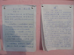 生活因誠實(shí)而精彩作文開(kāi)頭