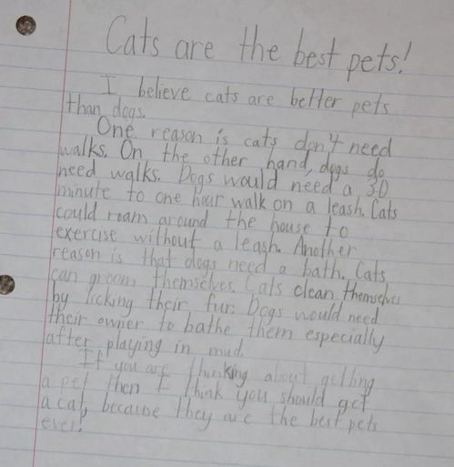 關(guān)于中國式表達的作文,表達真情實(shí)感的作文開(kāi)頭,表達思念的作文開(kāi)頭