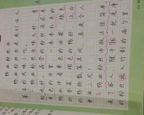 沈陽(yáng)著(zhù)名小吃作文開(kāi)頭