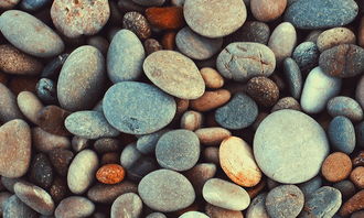 鵝卵石作文開(kāi)頭排比