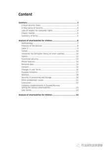 手表市場(chǎng)調查報告范文(手表 手表作文700字)