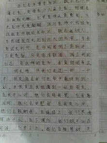最懂我的一個(gè)人500字作文開(kāi)頭結尾