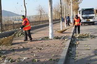 秋季落葉環(huán)衛工人作文開(kāi)頭