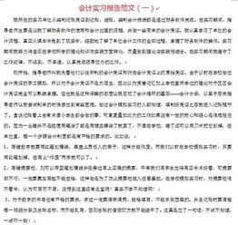 財務(wù)會(huì )計實(shí)踐總結報告范文(財務(wù)會(huì )計個(gè)人實(shí)習總結報告)