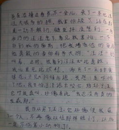 動(dòng)物充滿(mǎn)愛(ài)的作文600字作文開(kāi)頭