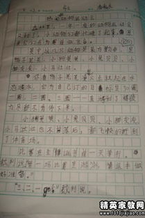 我眼中的運動(dòng)會(huì )作文好的開(kāi)頭