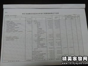 經(jīng)費自查報告(經(jīng)費自查報告)