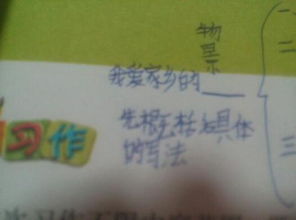 曬我家鄉作文開(kāi)頭