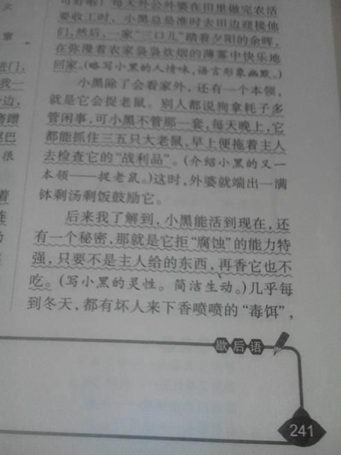 關(guān)于寫(xiě)小動(dòng)物的作文 (關(guān)于寫(xiě)小動(dòng)物的作文)