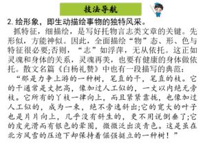 托物言志作文開(kāi)頭滿(mǎn)分