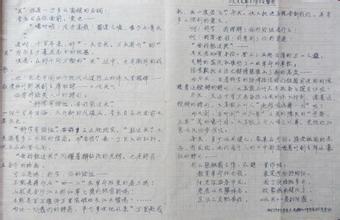 高考作文開(kāi)頭追趕夢(mèng)想