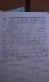 我總是想起她作文開(kāi)頭