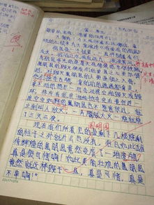 鴿子這篇作文的開(kāi)頭和結尾有哪些