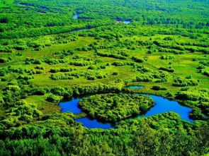 呼倫貝爾大草原作文開(kāi)頭