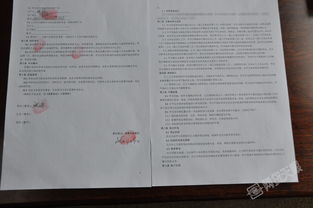 參觀(guān)考察報告(學(xué)校參觀(guān)考察報告)