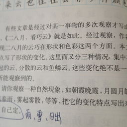 作文,描寫(xiě),開(kāi)頭