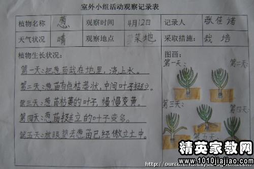 觀(guān)察植物寫(xiě)研究報告(觀(guān)察植物寫(xiě)研究報告)