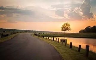 成功作文開(kāi)頭結尾優(yōu)美段落