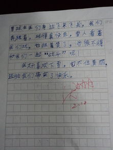 漫長(cháng)的寒假作文開(kāi)頭