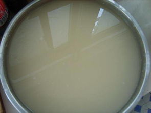 做涼皮作文開(kāi)頭