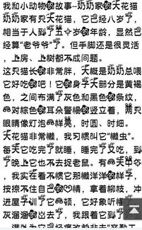 動(dòng)物情感的作文開(kāi)頭