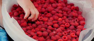 熬果醬的女孩(熬果醬的女孩)